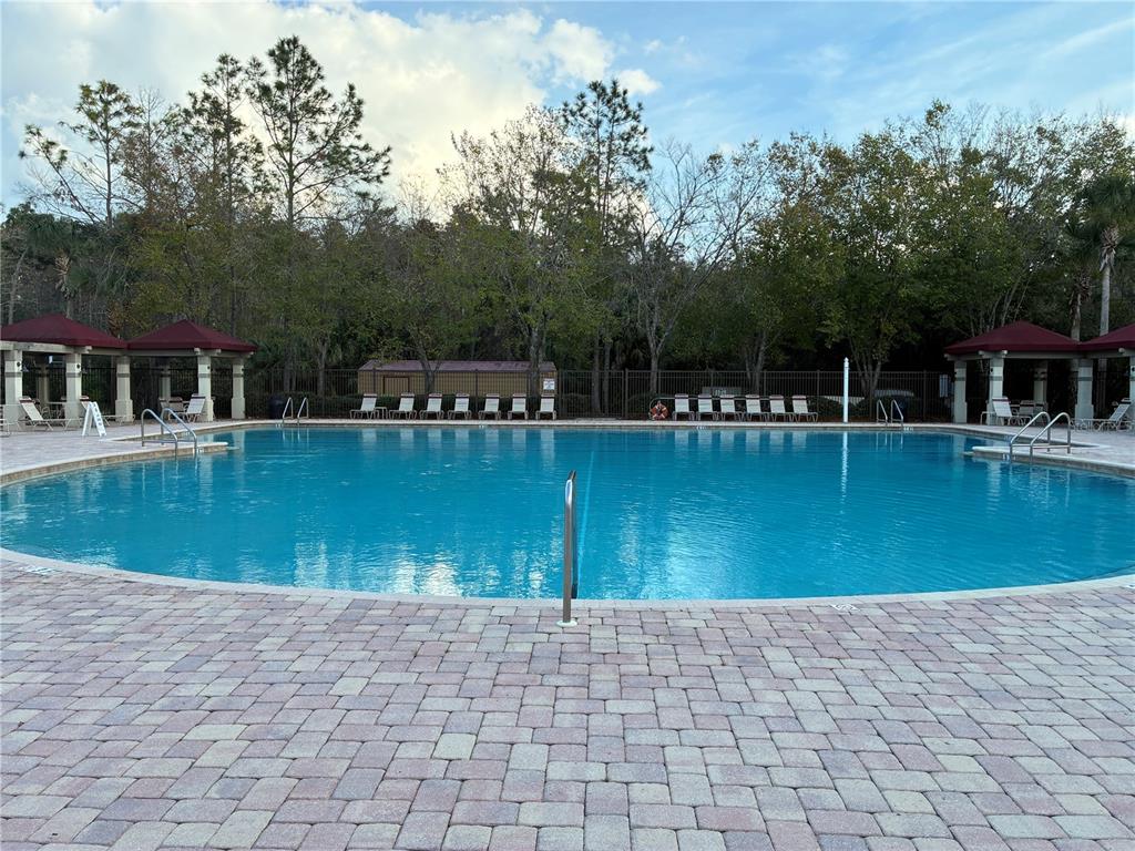 1110 Sleepy Oak Drive Wesley Chapel, FL 33543 - Photo 34 of 35 a view of a swimming pool with a lake view