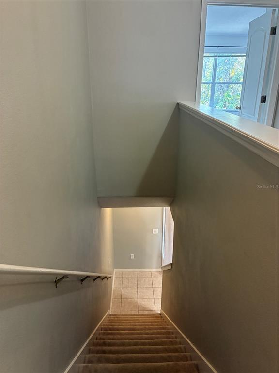 1110 Sleepy Oak Drive Wesley Chapel, FL 33543 - Photo 10 of 35 a view of a room with rack on the wall and a window