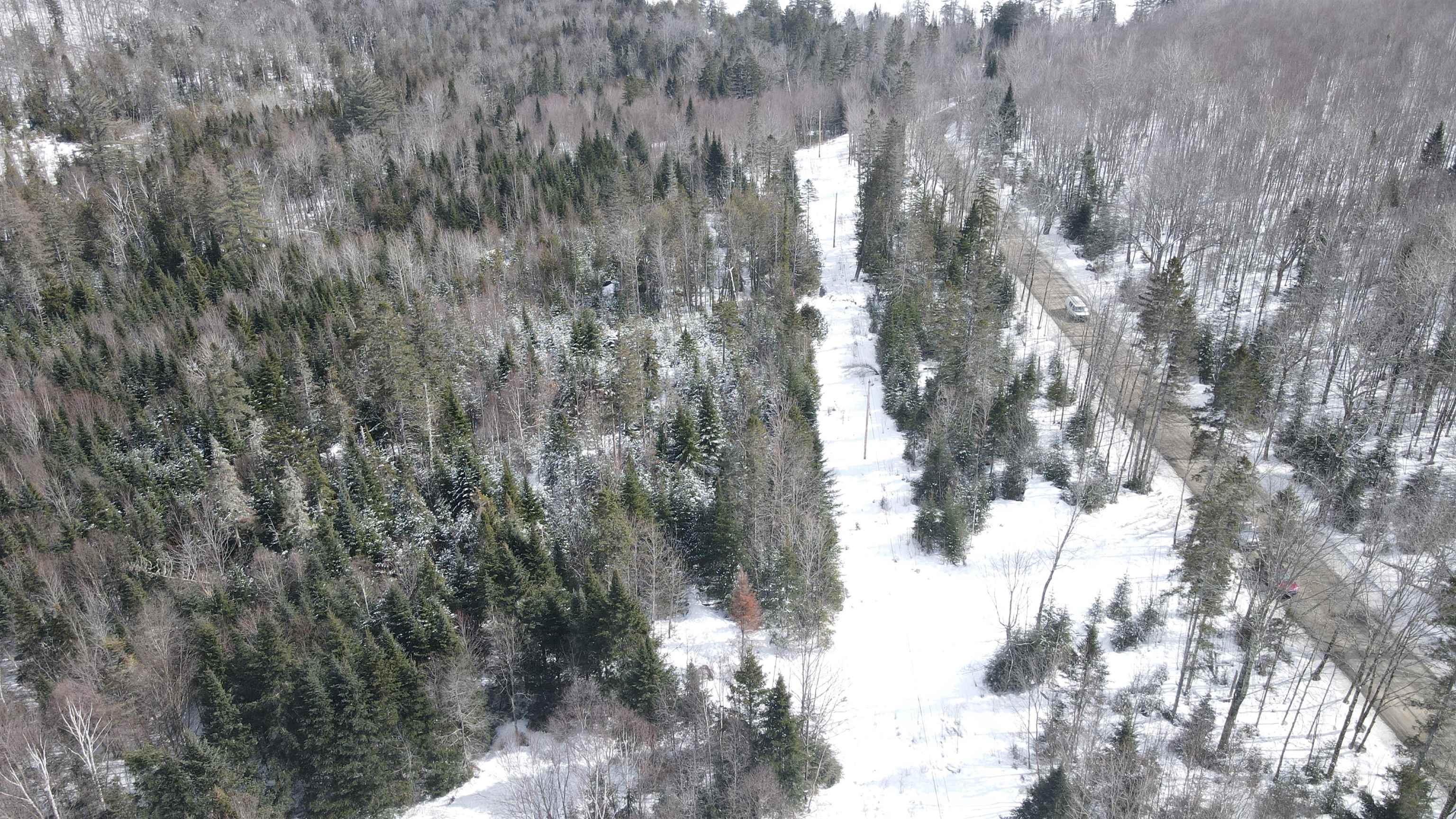 0 Shadow Lake Road Glover, VT 05839 - Photo 29 of 59 Gallery Image 29