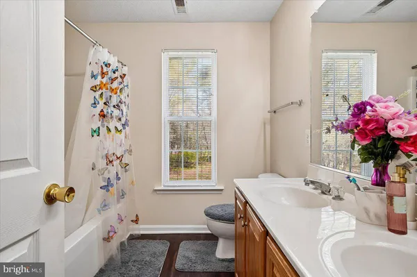 a bathroom with a sink mirror and vanity