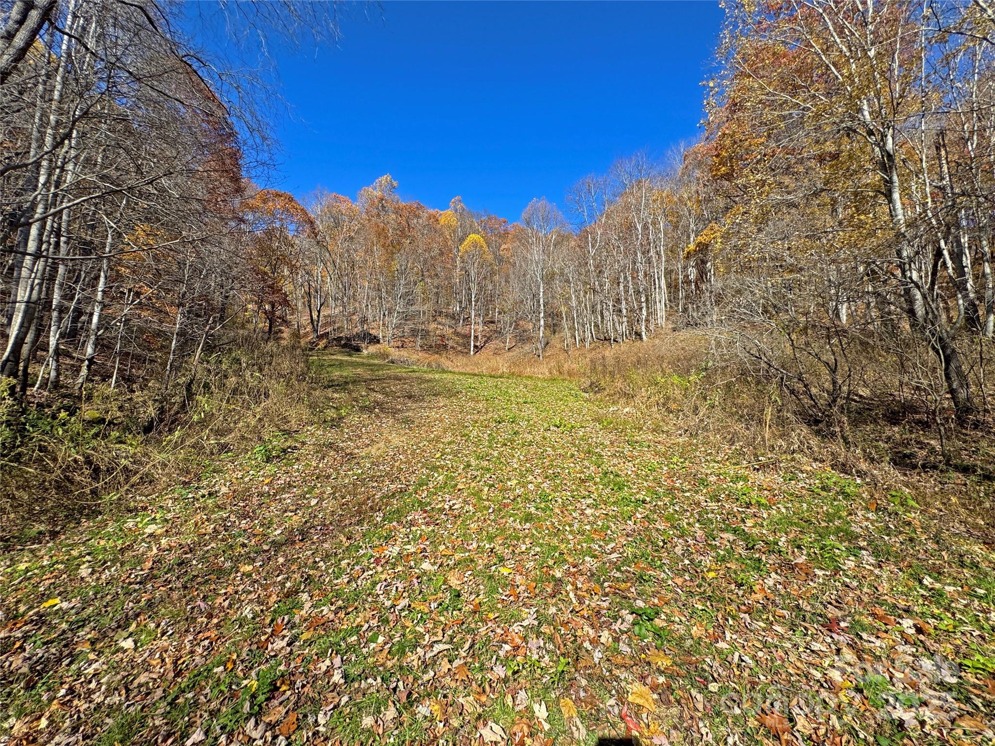890 Panther Branch Road Hot Springs, NC 28743 - Photo 12 of 47 a view of ocean view