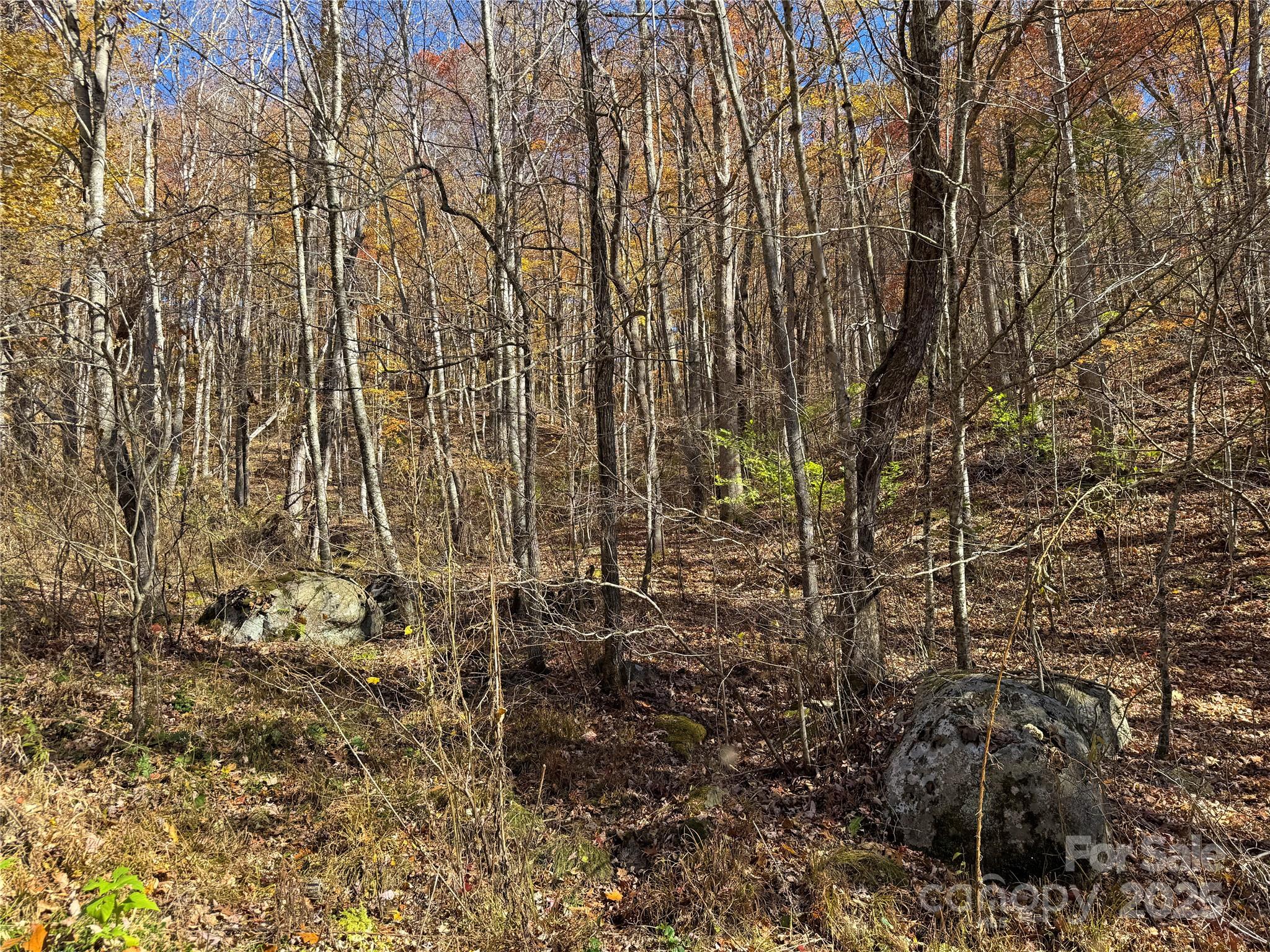 890 Panther Branch Road Hot Springs, NC 28743 - Photo 16 of 47 a view of a yard
