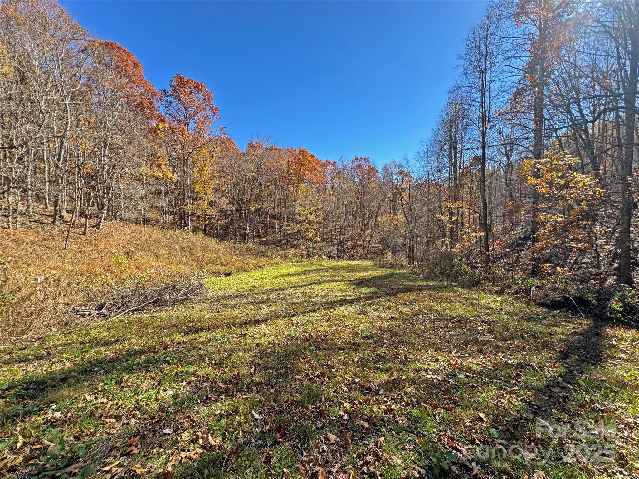 890 Panther Branch Road Hot Springs, NC 28743 - Photo 17 of 47 a view of a yard with a house