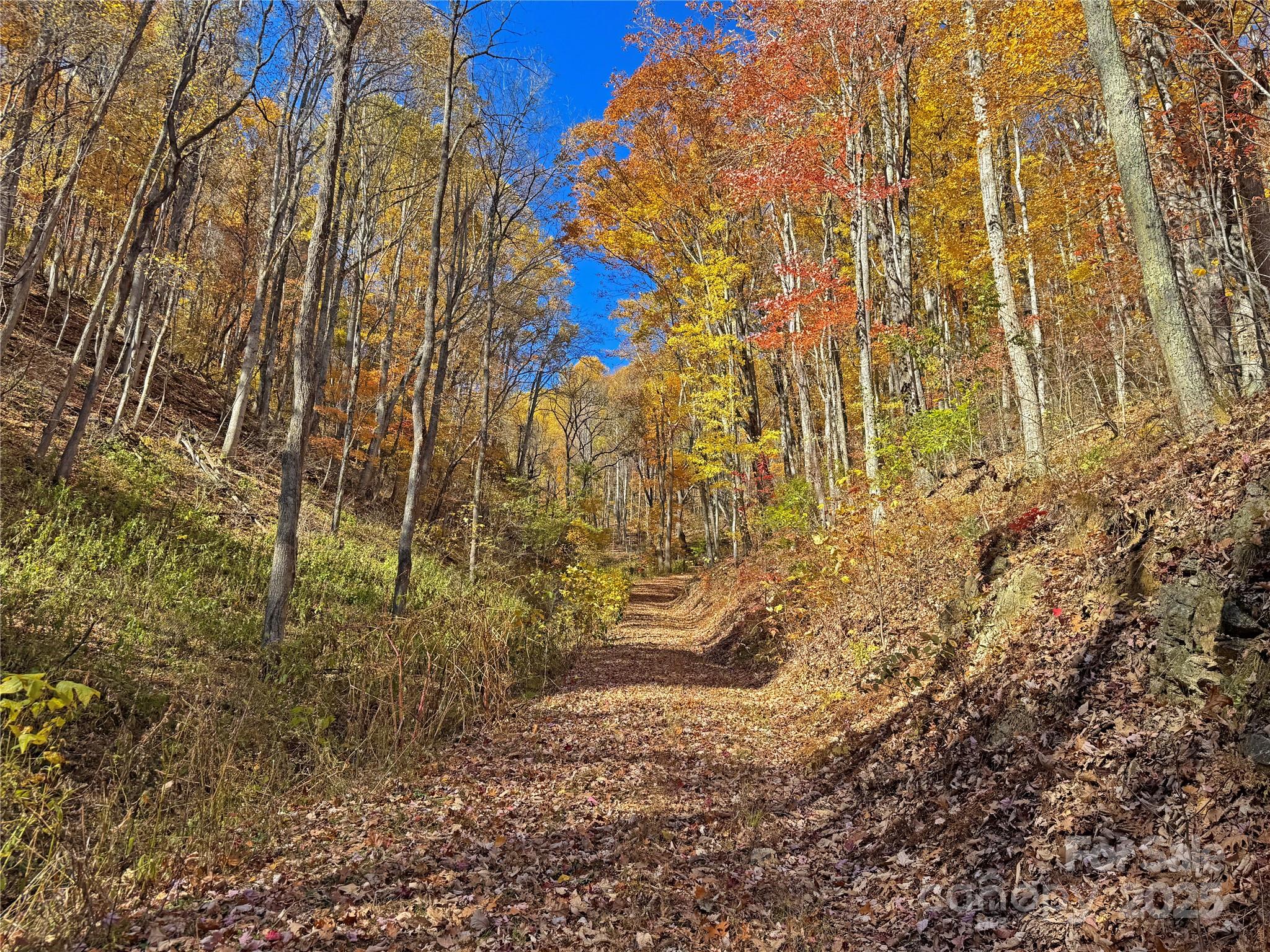 890 Panther Branch Road Hot Springs, NC 28743 - Photo 18 of 47