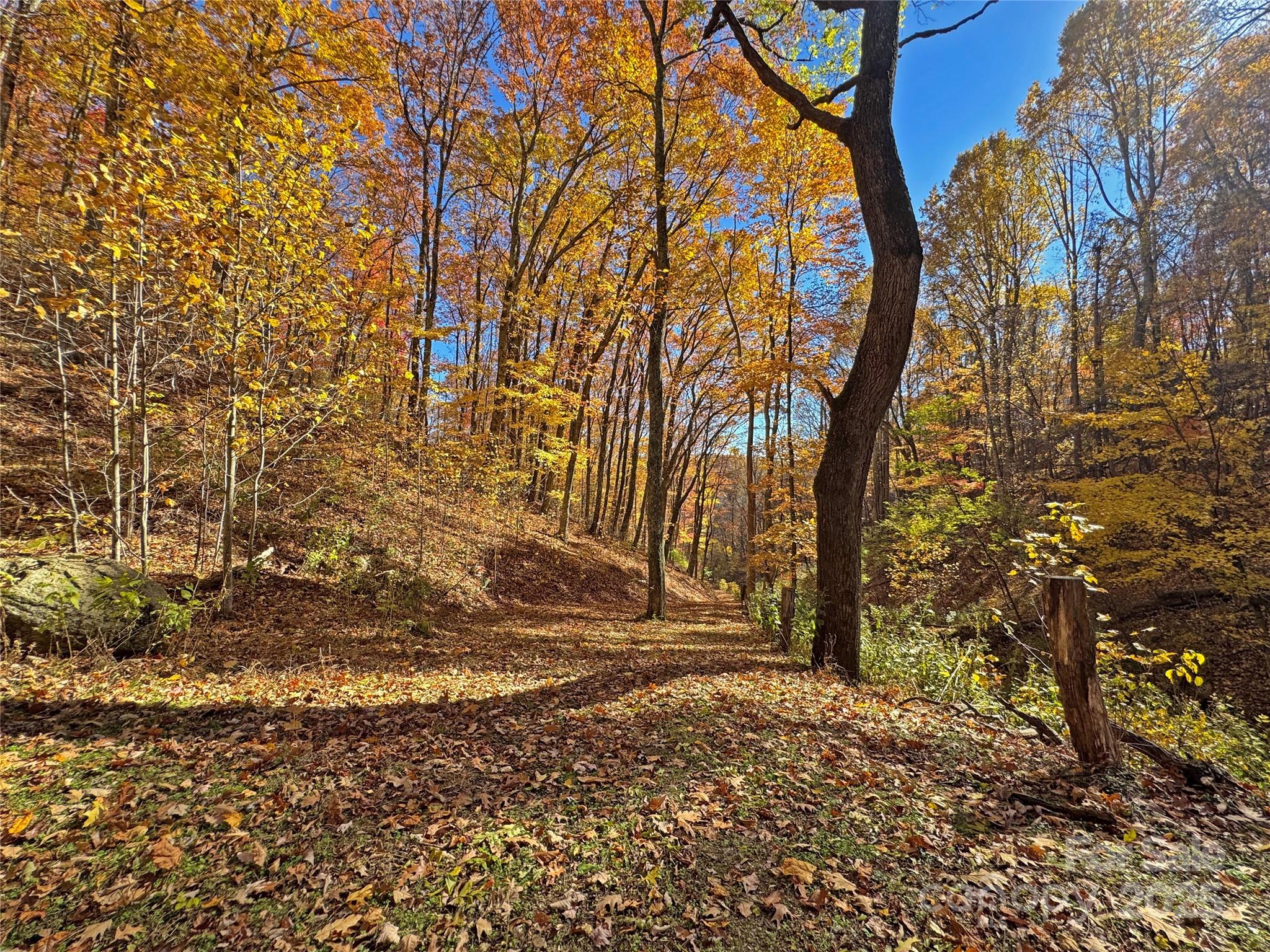 890 Panther Branch Road Hot Springs, NC 28743 - Photo 20 of 47 a backyard of a house with lots of green space