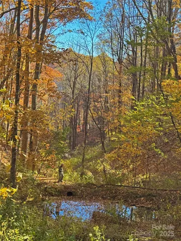 a view of empty space with wooden walls