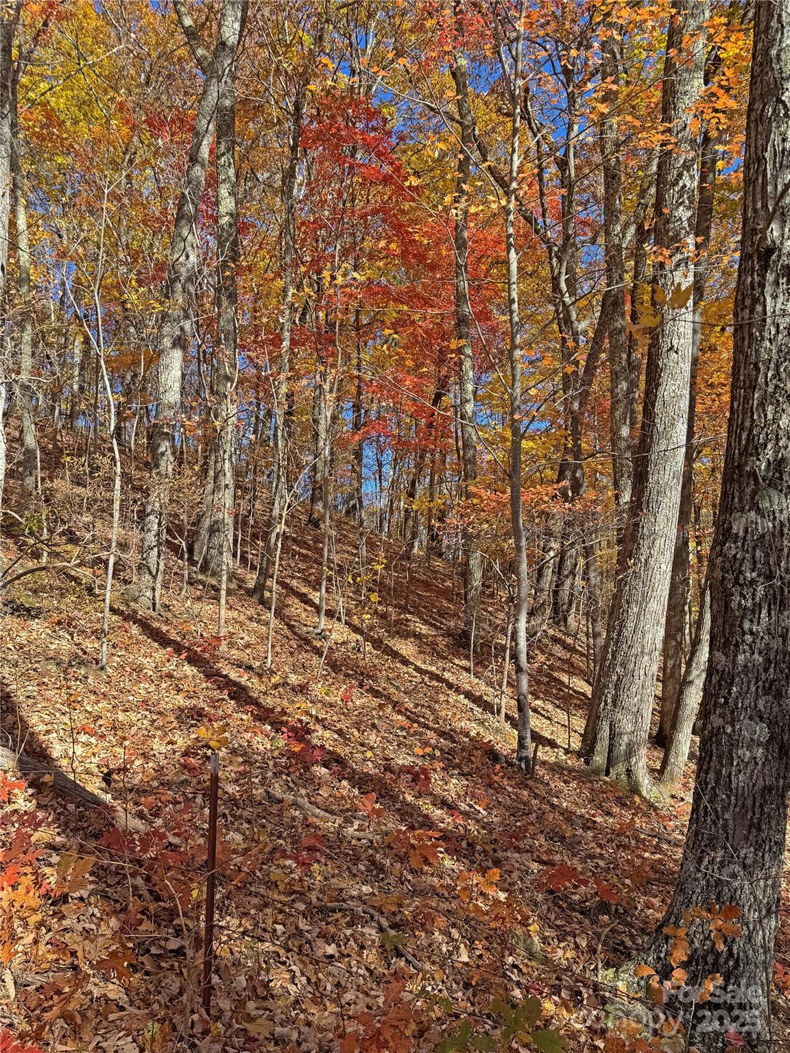 890 Panther Branch Road Hot Springs, NC 28743 - Photo 36 of 47 a view of empty room with side of a house