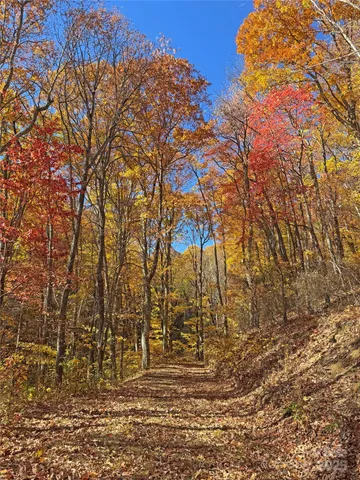 a view of covered with wooden fence