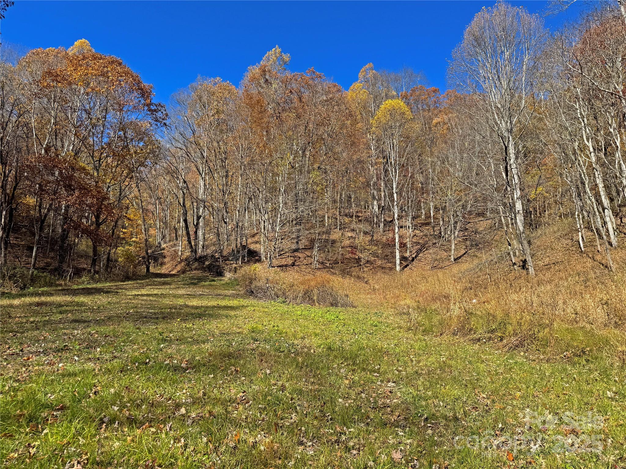 890 Panther Branch Road Hot Springs, NC 28743 - Photo 4 of 47 a view of a field with trees in the background