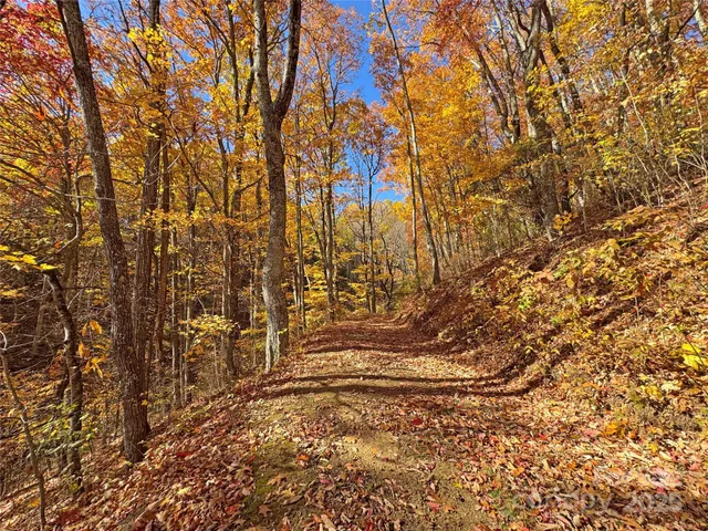 a backyard of a house