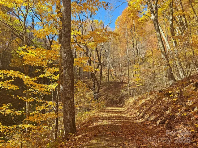 a view of a large building with trees in the background