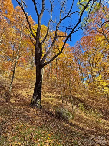 $348,500 | 890 Panther Branch Road, Hot Springs, NC 28743