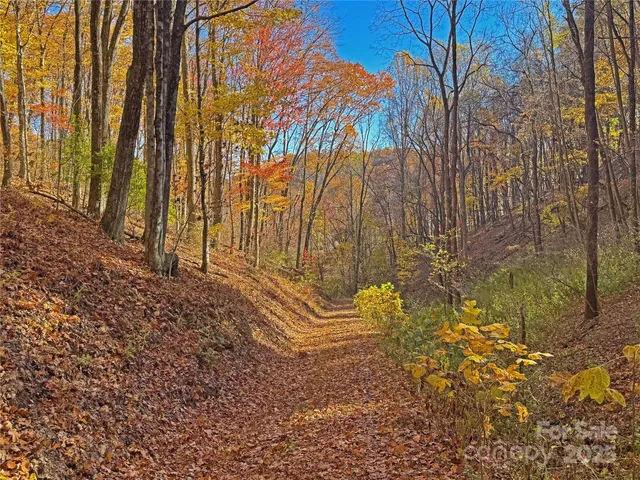 $348,500 | 890 Panther Branch Road, Hot Springs, NC 28743