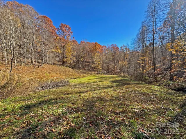 $348,500 | 890 Panther Branch Road, Hot Springs, NC 28743