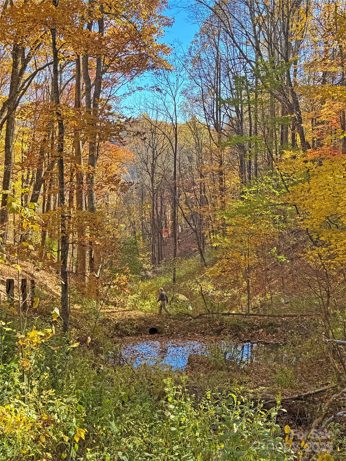 890 Panther Branch Road Hot Springs, NC 28743 - Photo 5 of 47 a bathroom with a small yard