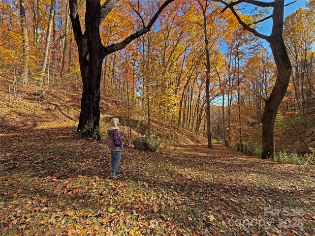 a view of a garden with a bench