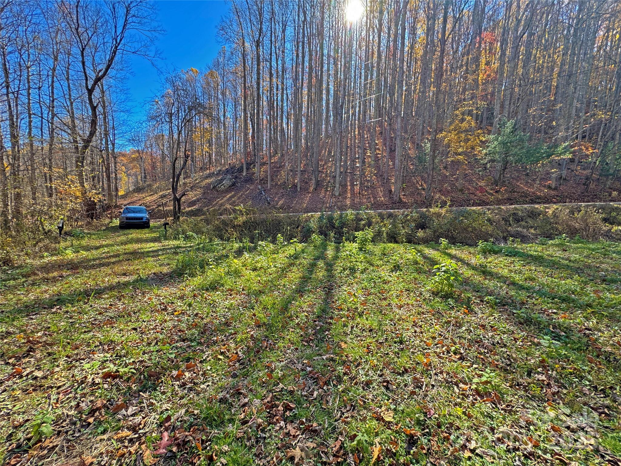 890 Panther Branch Road Hot Springs, NC 28743 - Photo 8 of 47 a view of a garden with a bench