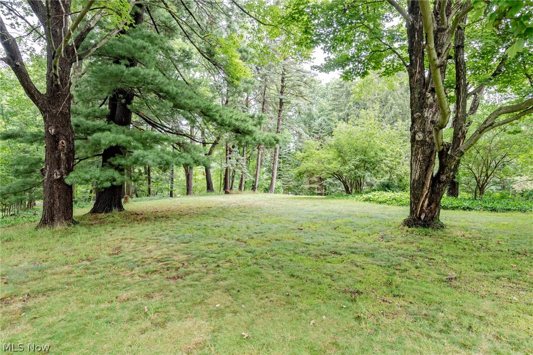 4682 Mayfield Road Cleveland, OH 44121 - Photo 30 of 32