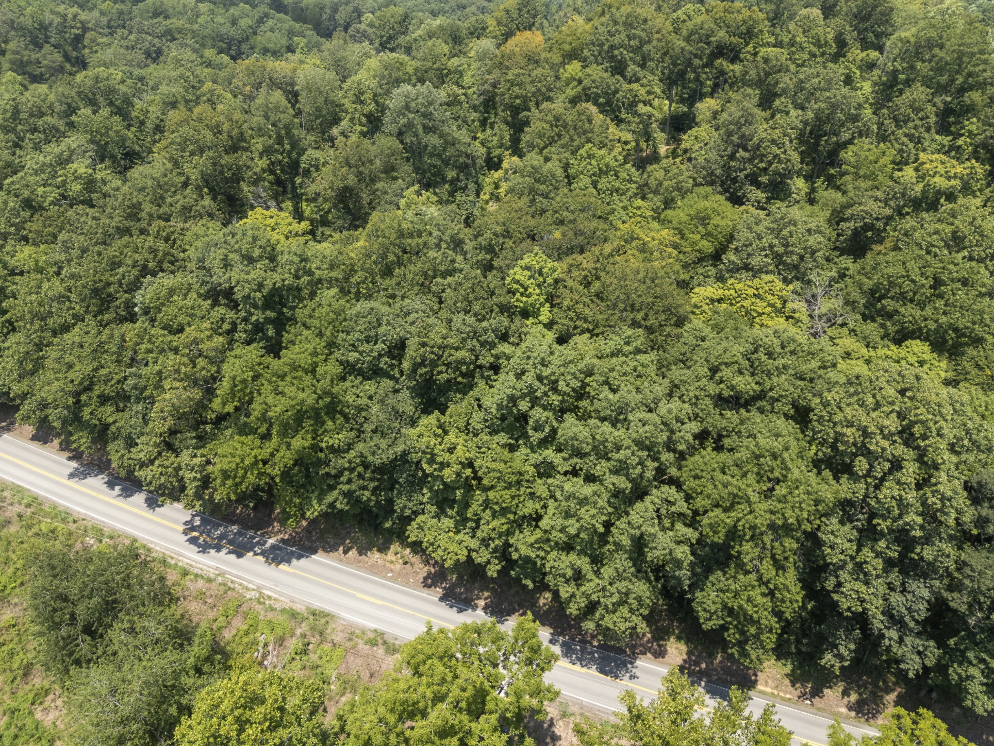 0 Slayden Wood Road Vanleer, TN 37181 - Photo 22 of 25 Gallery Image 22