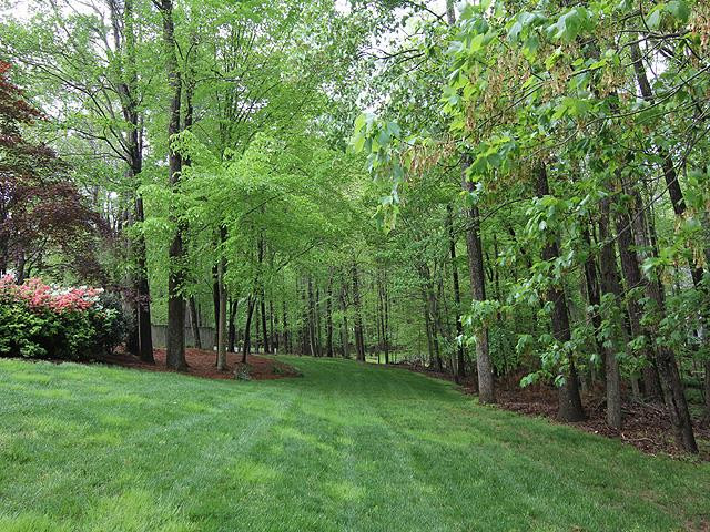 10317 Whitestone Road Raleigh, NC 27615 - Photo 17 of 18 Photo 17