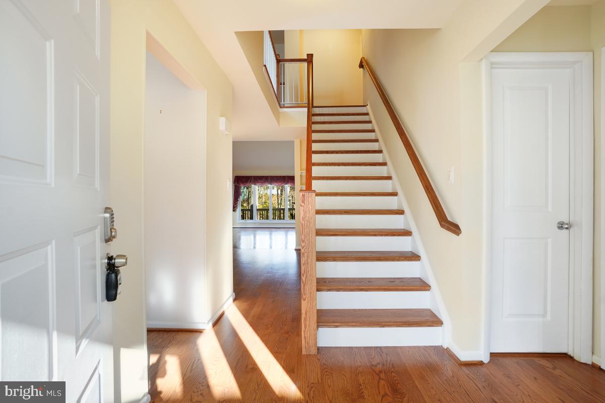 11626 Chapel Cross Way Reston, VA 20194 - Photo 5 of 48