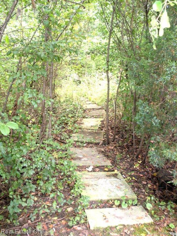 644 Rudgate Road Bloomfield Hills, MI 48304 - Photo 37 of 43 644Rudgate003.jpg