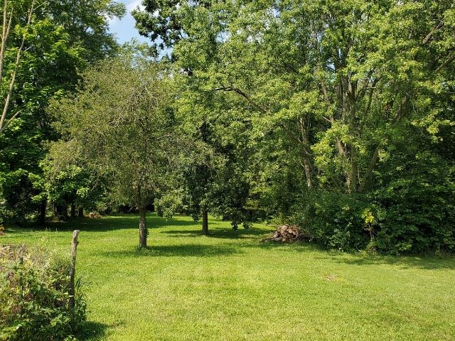 7951 St Joe Road Fort Wayne, IN 46835 - Photo 5 of 26 Gallery Image 5