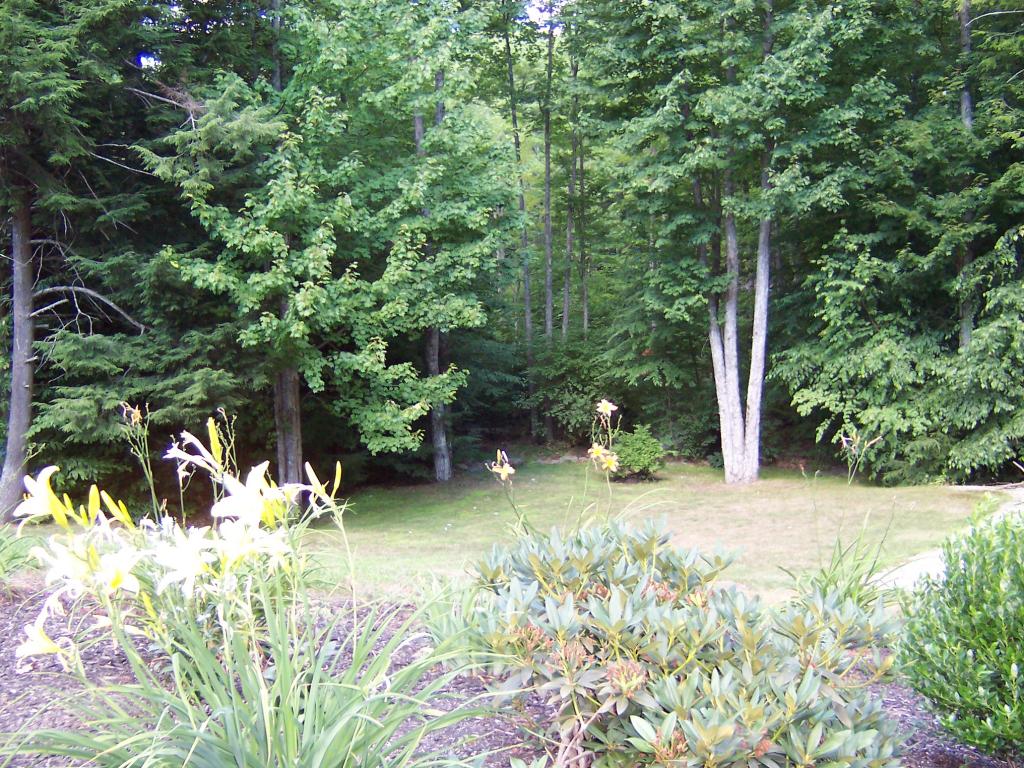 26 Lockes Corner Road Alton, NH 03809 - Photo 5 of 25