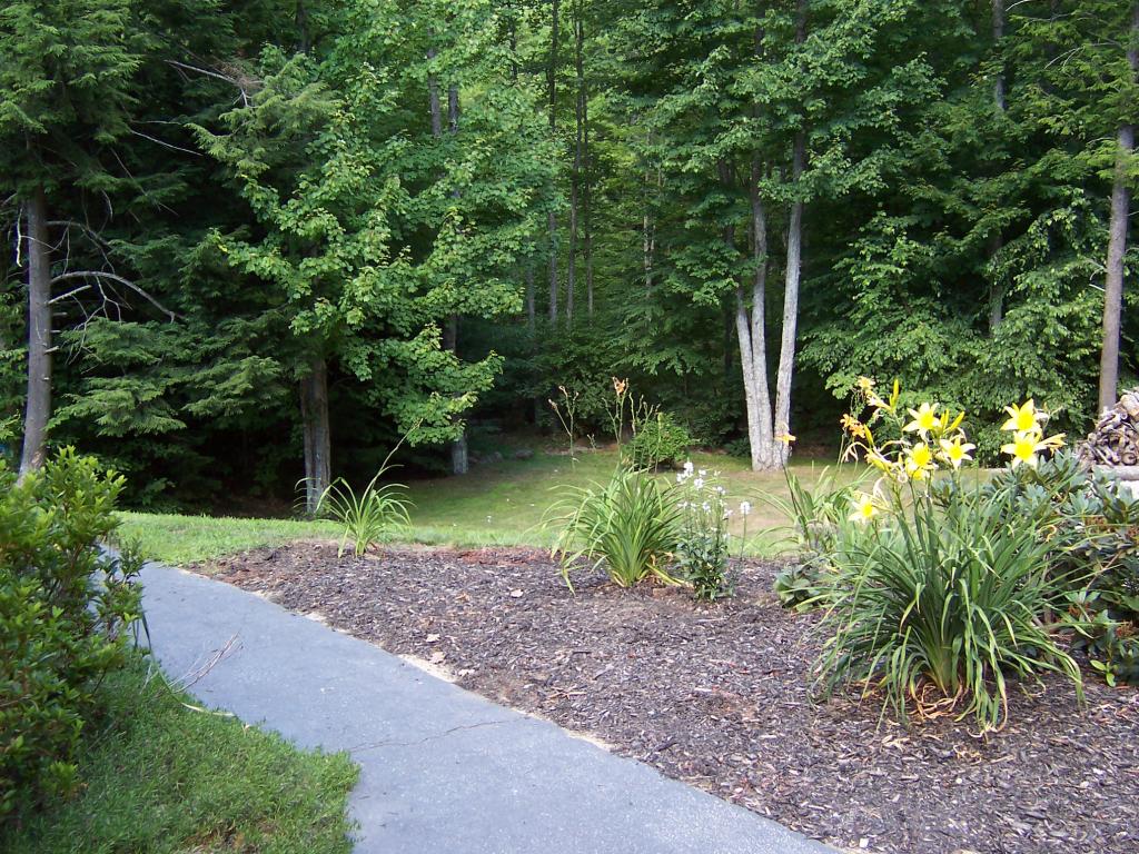 26 Lockes Corner Road Alton, NH 03809 - Photo 6 of 25