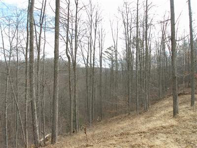 0 Old County Road McKee, KY 40447 - Photo 6 of 18 Photo 6