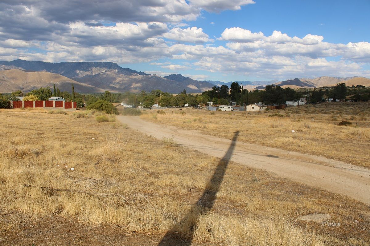 Goat Ranch Rd Lake Mountain Mesa, CA 93240 - Photo 5 of 6