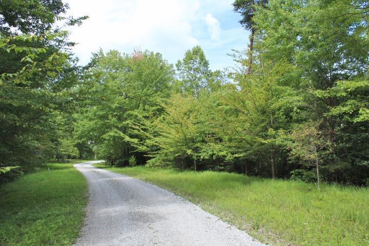 102 Highway 196 Nancy, KY 42544 - Photo 5 of 8 Additional Photo