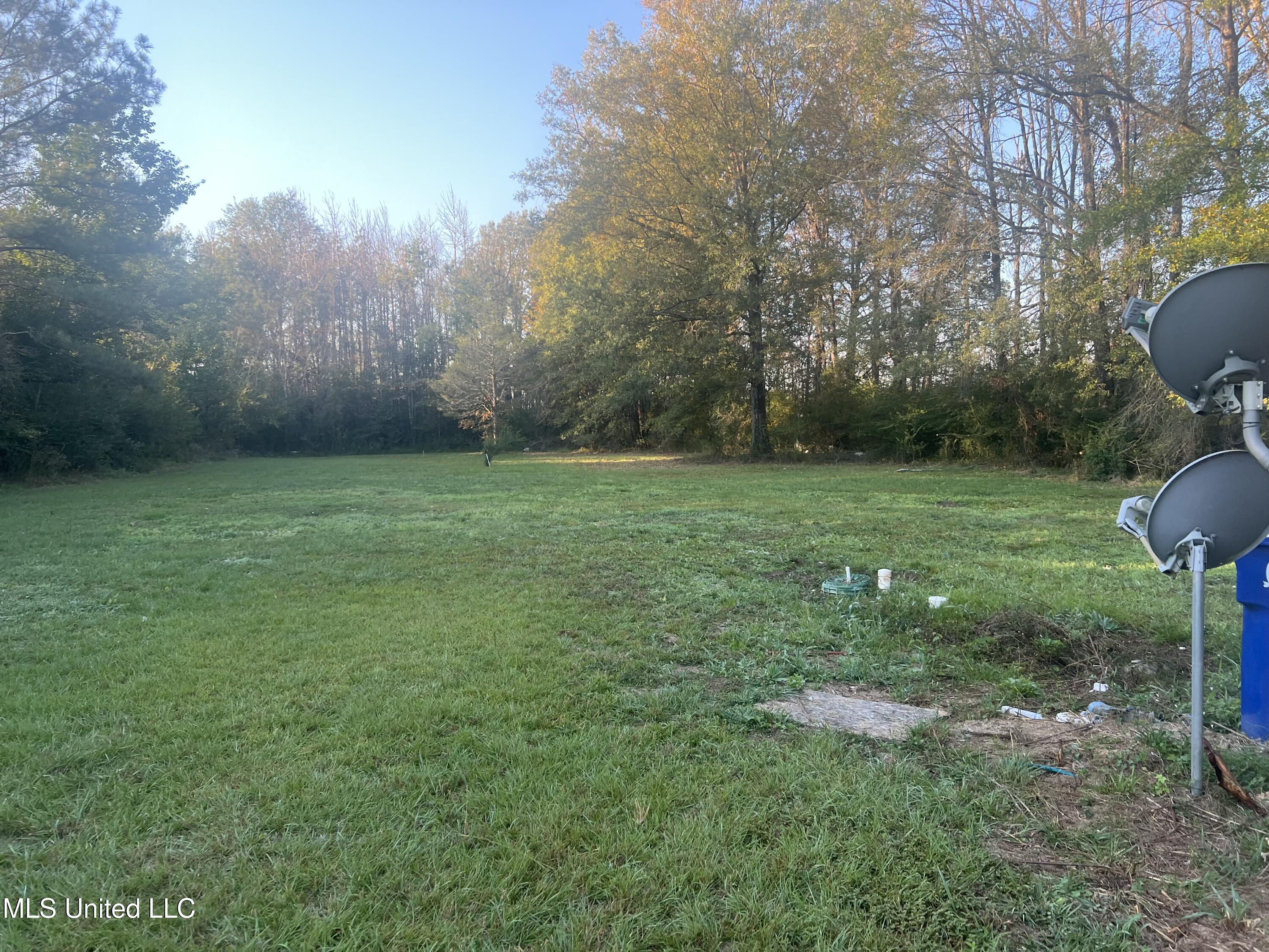 2774 Loyd Star Lane Northwest Wesson, MS 39191 - Photo 21 of 32 2774 loyd star backyard