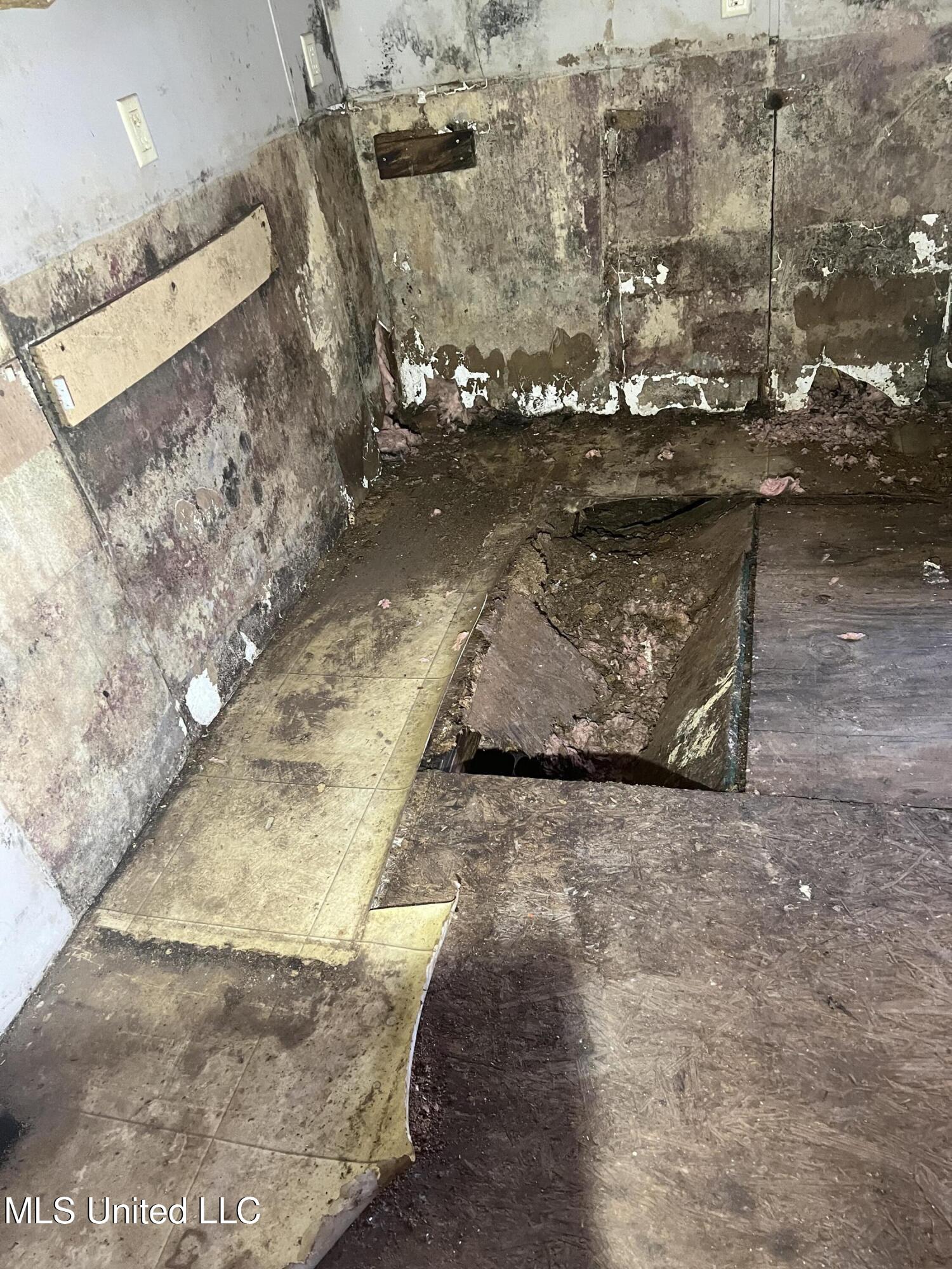 2774 Loyd Star Lane Northwest Wesson, MS 39191 - Photo 6 of 32 2774 loyd star hole in the floor