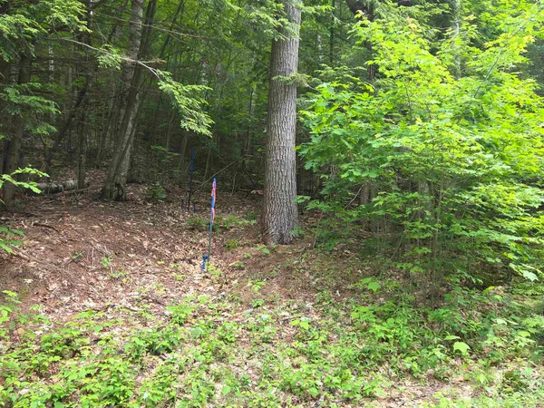 $27,500 | 12-10 Boulder Court, Campton, NH 03223