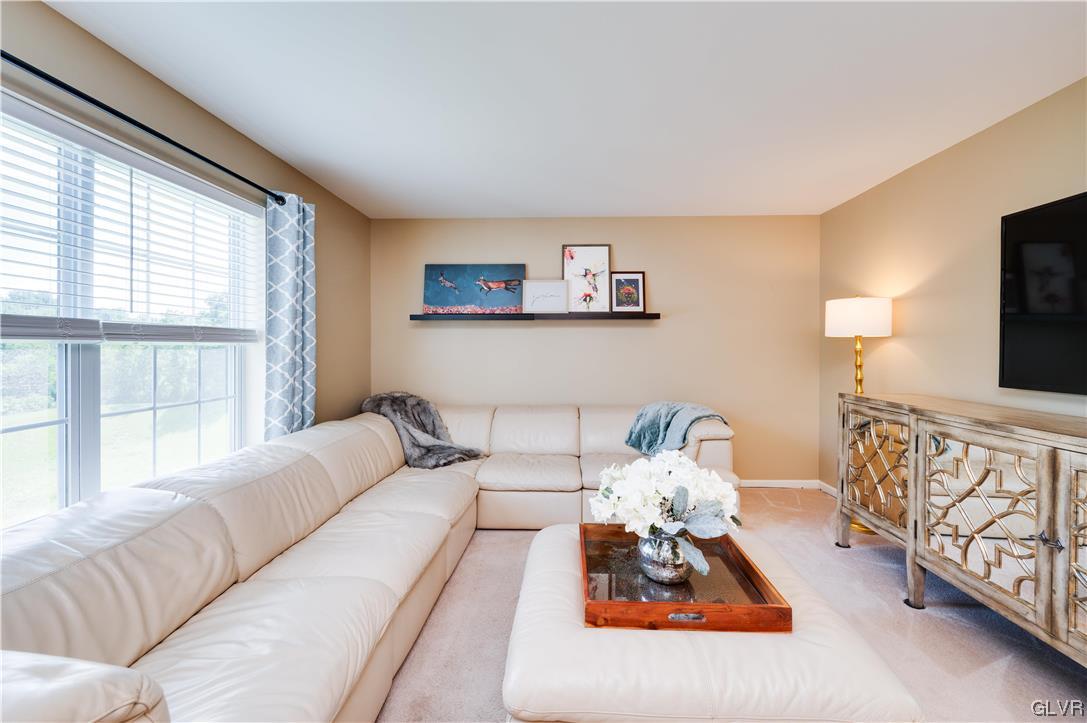 238 Longview Drive Reading, PA 19608 - Photo 20 of 43 a living room with furniture and a flat screen tv