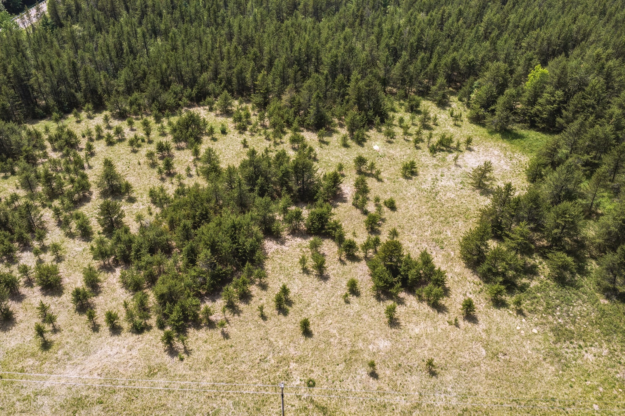 0 Lot 1 Augusta, WI 54722 - Photo 15 of 16