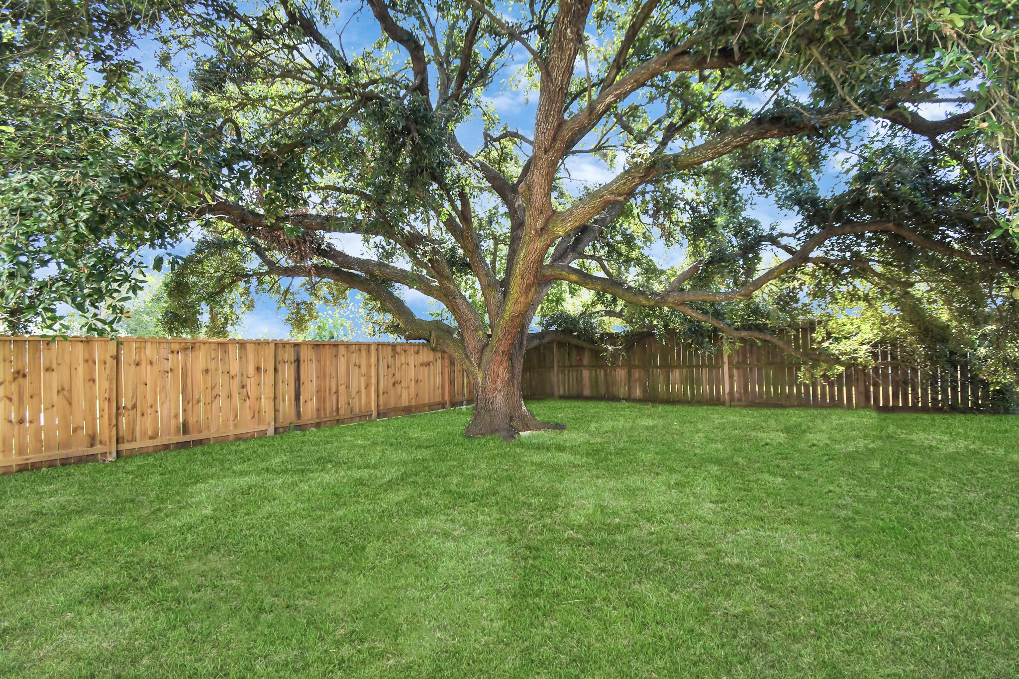 9912 Cardinal Street La Porte, TX 77571 - Photo 29 of 34 a view of a yard with an tree and wooden fence