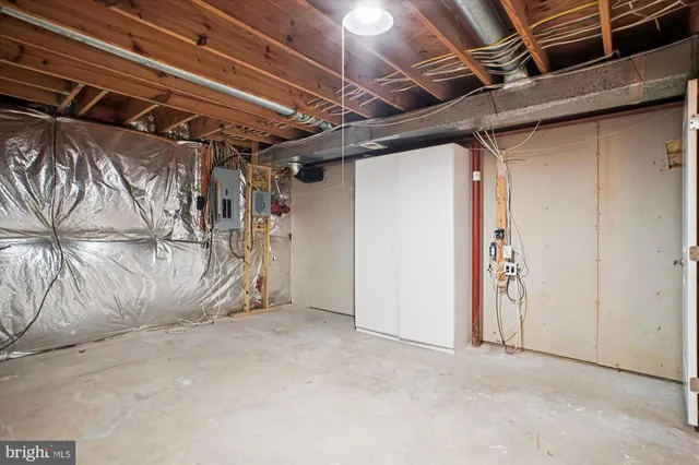 a view of a backyard with plants and large tree