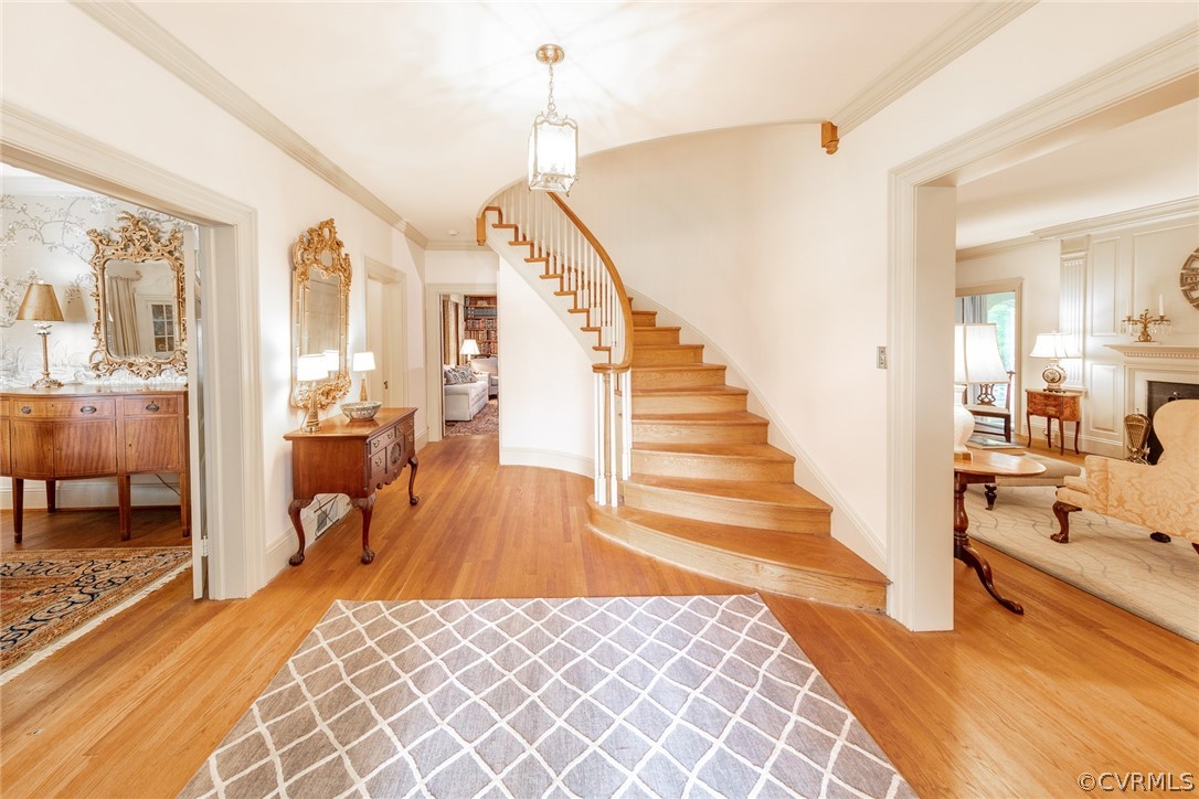 1 Calycanthus Road Richmond, VA 23221 - Photo 6 of 50 Gallery Image 6