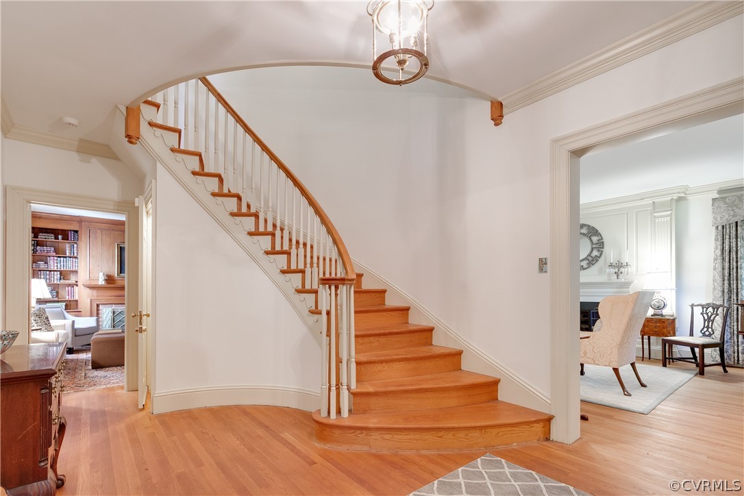 1 Calycanthus Road Richmond, VA 23221 - Photo 8 of 50 Gallery Image 8