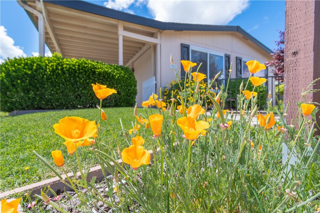342 Bobwhite Drive Paso Robles, CA 93446 - Photo 20 of 35 a view of a back yard of the house