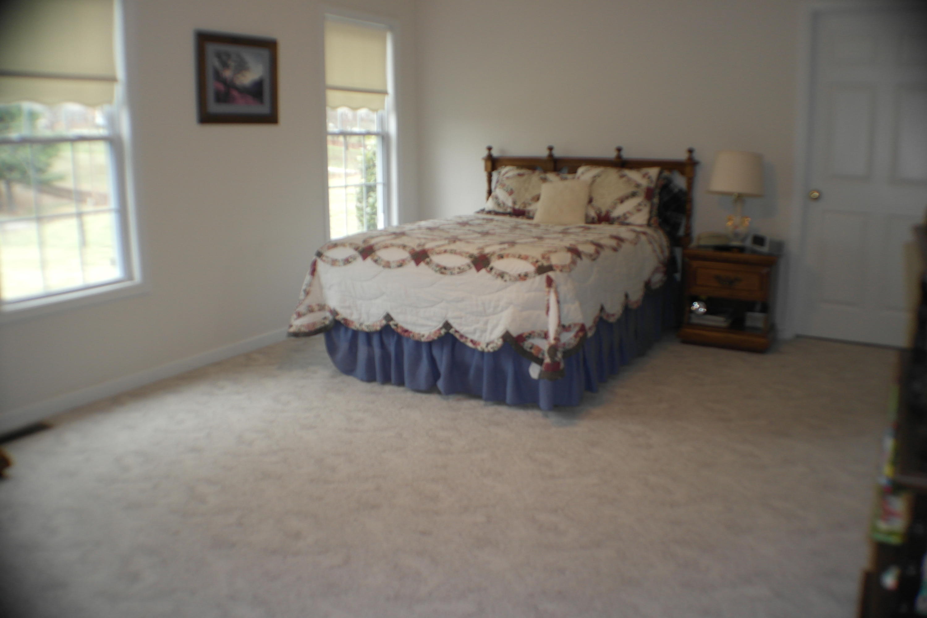 2598 Trinity Road Troutville, VA 24175 - Photo 23 of 55 master entry level