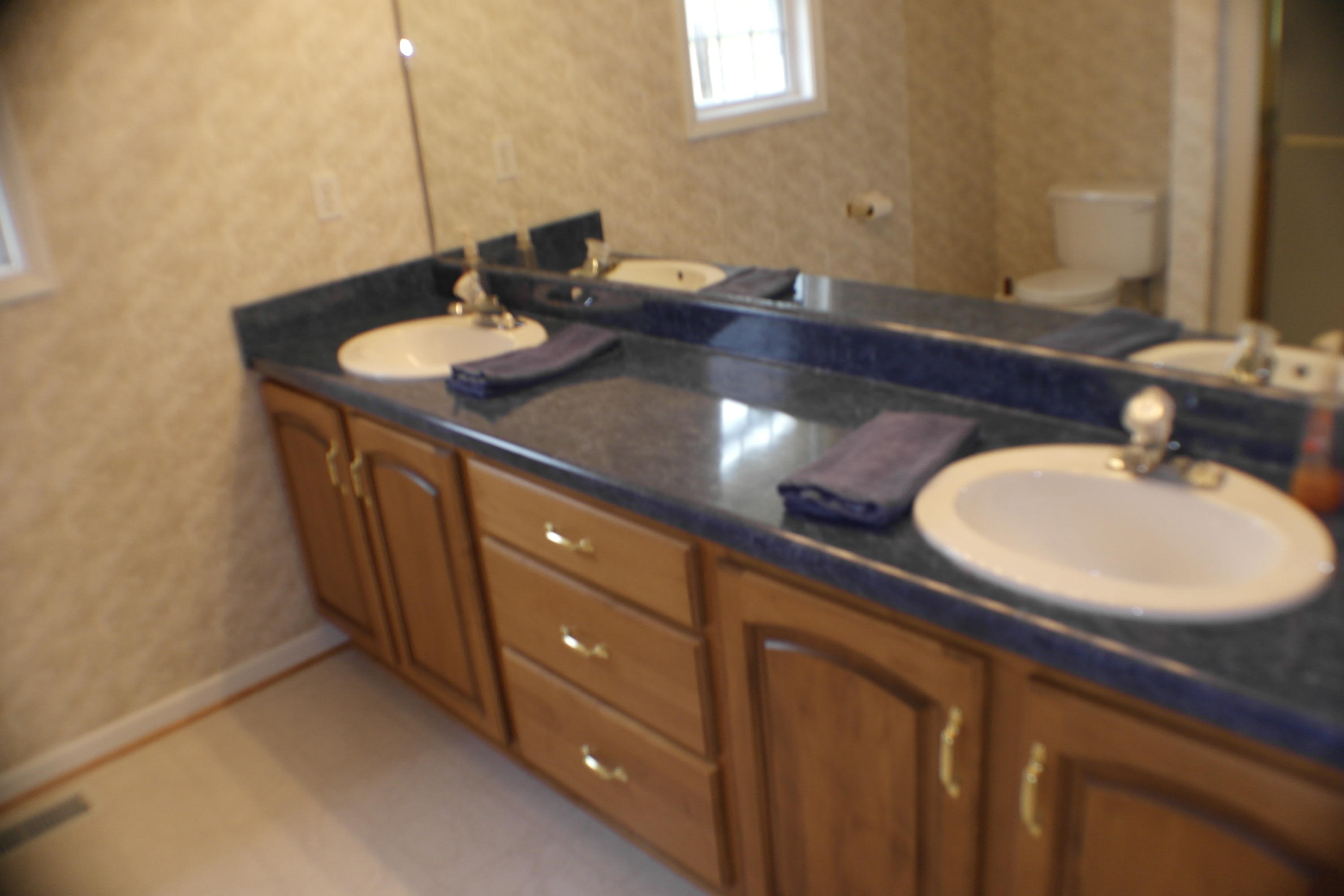 2598 Trinity Road Troutville, VA 24175 - Photo 25 of 55 master bath entry level