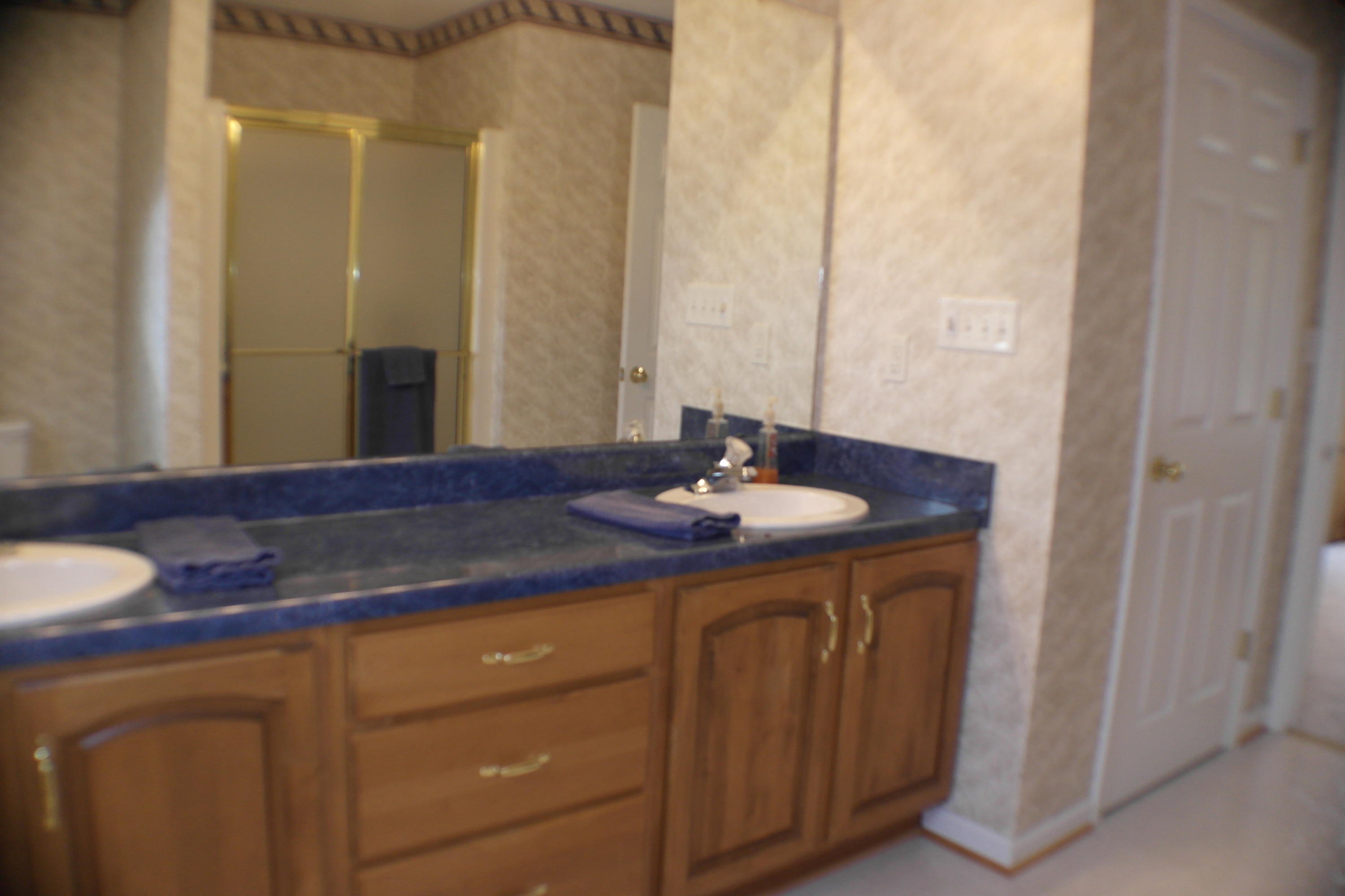 2598 Trinity Road Troutville, VA 24175 - Photo 26 of 55 master bath entry level