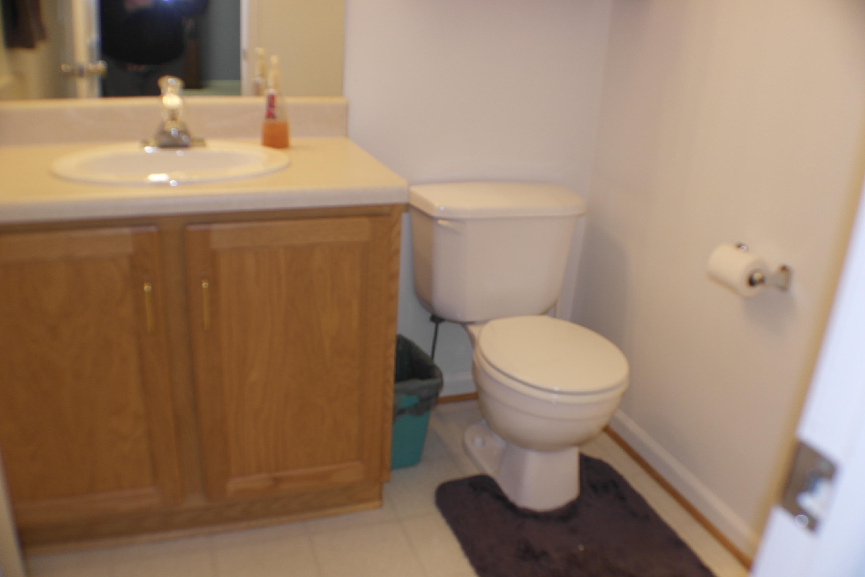 2598 Trinity Road Troutville, VA 24175 - Photo 41 of 55 bathroom down
