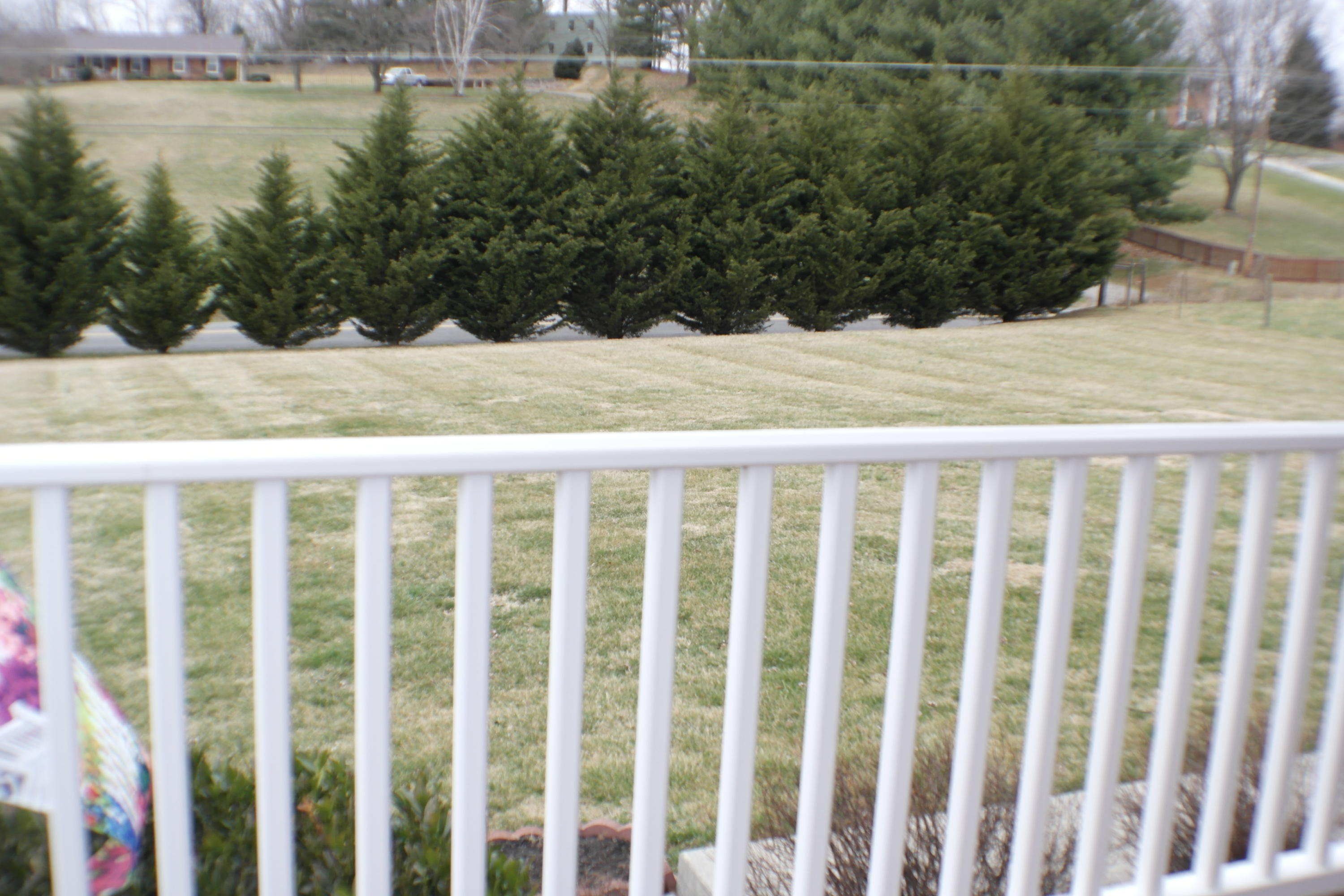 2598 Trinity Road Troutville, VA 24175 - Photo 10 of 55 front porch view