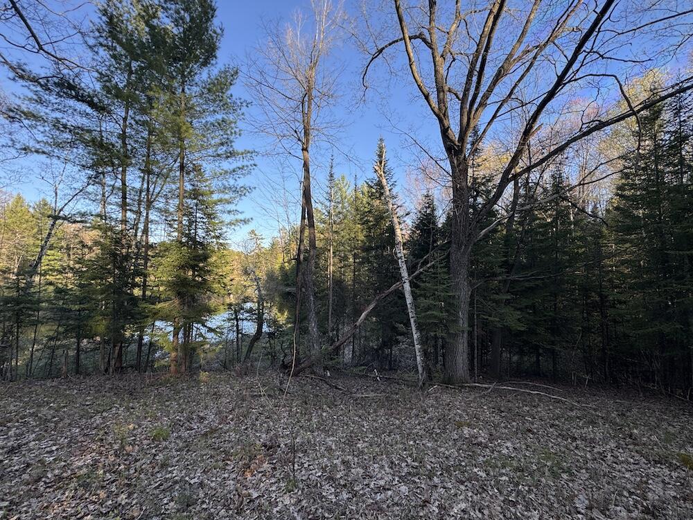 Lot 1 V/l Wildwood Road Alger, MI 48610 - Photo 21 of 35 IMG_2883