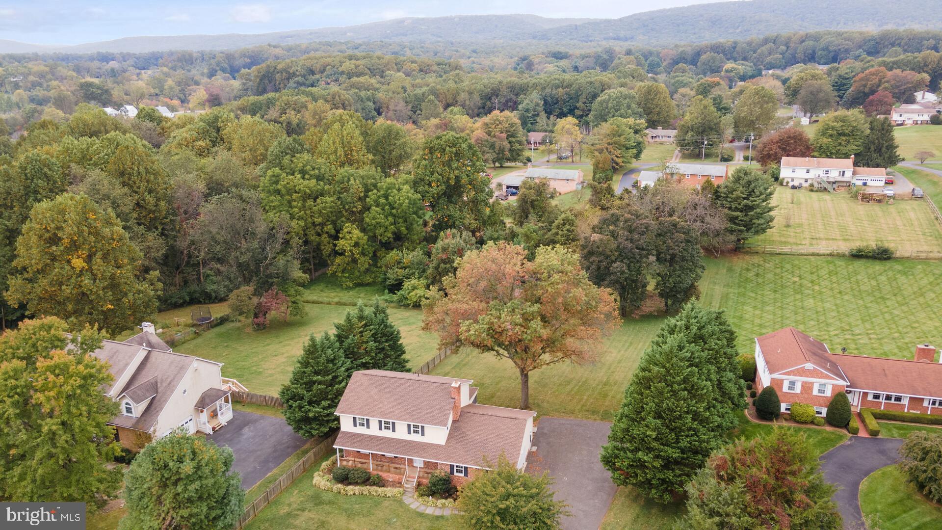 4212 Misty Ridge Drive Haymarket, VA 20169 - Photo 41 of 55