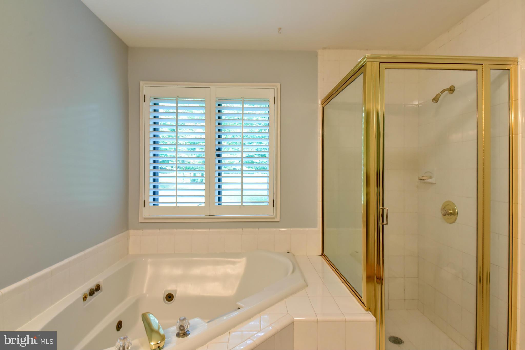 9885 Lomax Road Faulkner, MD 20632 - Photo 16 of 30 Bath (Master)
